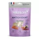 Antioxidant funkcionális jutalomfalat kutyáknak / Marly & Dan - immunerősítő