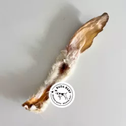 Szárított Szőrös Nyúlfül 1db / Teomann