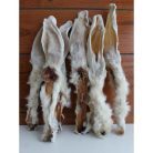 Szárított Szőrös Nyúlfül 500g/ Teomann