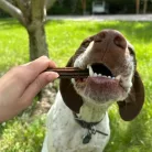 Fogápoló jutalomfalat közepes és nagy testű kutyák számára 140g/ Marly & Dan Dental