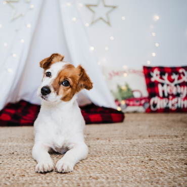 Karácsonyi nyitvatartás