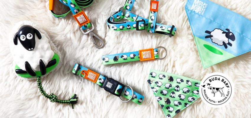 játékok és nyakörvek budabarf